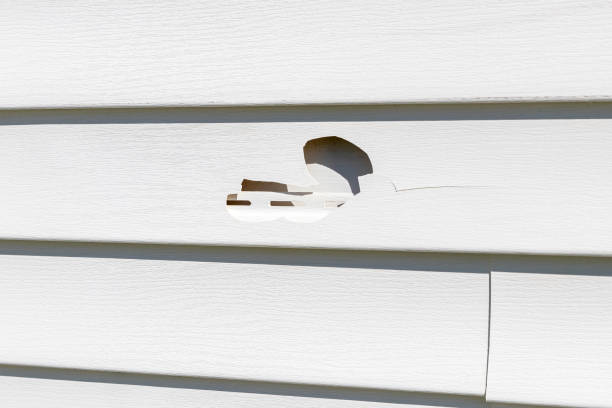 Trusted Greenwood, AR Siding Services Experts